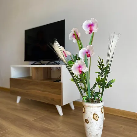 Verde Apartment